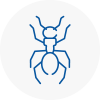 Ant Removals In Sacriston