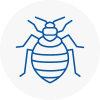 Bed Bug Extermination In Sacriston