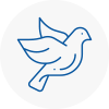 Bird Prevention Sacriston