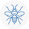 Sacriston Hornet Nest Removals