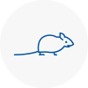Mice Exterminators In Sacriston