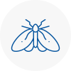Moth Control Specialists In Sacriston