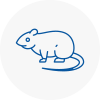 Rat Control Sacriston