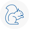 Sacriston Rodent Removals